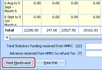 IBP MnthEd 2 | Month end summary screen is missing values