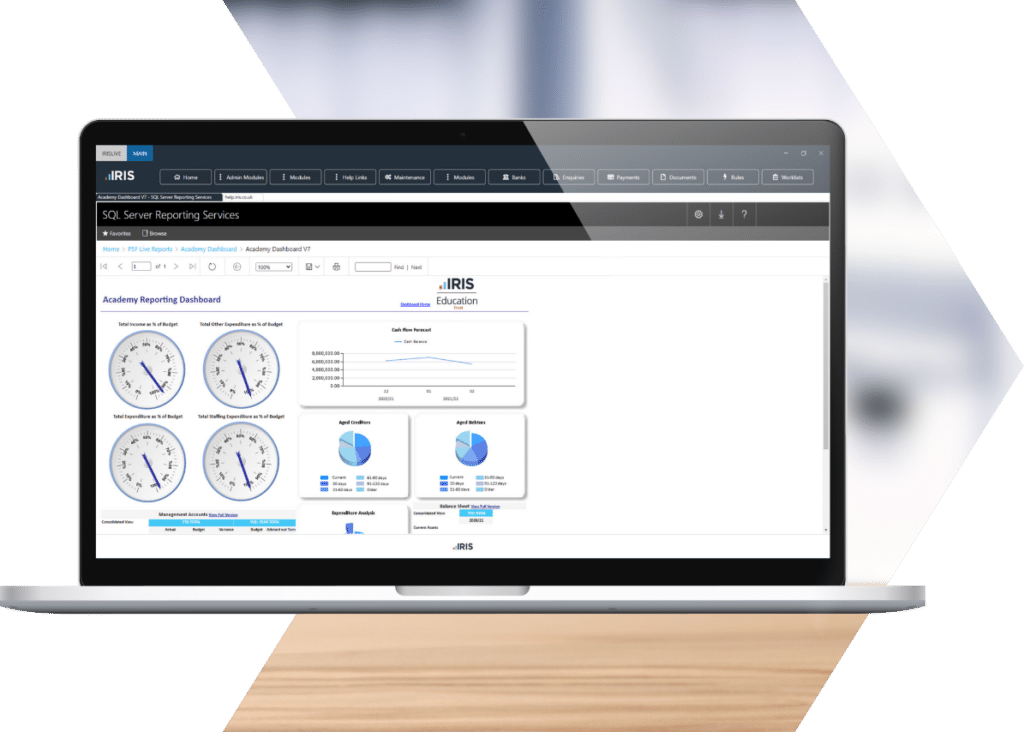 Screenshot of the IRIS Financials software dashboard