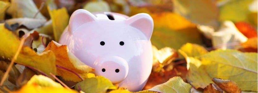 piggy bank surrounded by autumn leaves