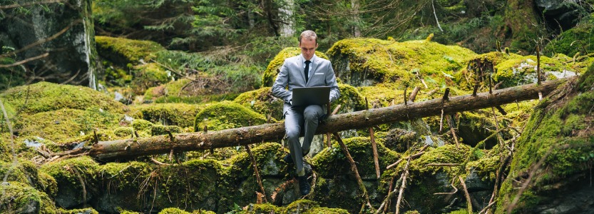 business man works remotely in lush forest in the morning picture id1290321748 | Five tips for keeping remote and hybrid teams connected